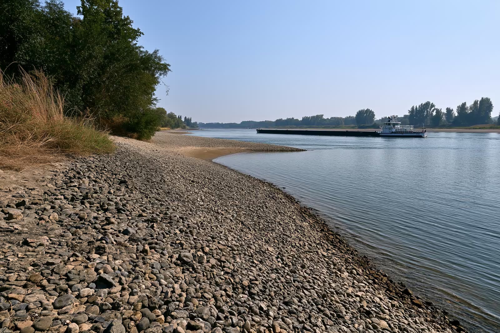 Barka towarowa stojąca nisko i lekko załadowana na zwężonym Renie z odsłoniętymi ławicami piasku.